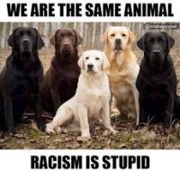 thumbs/racism.jpg.jpg